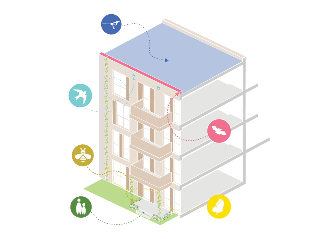 Natuurinclusieve woonbuurt De Vechte – zicht op groene gevels en rivier